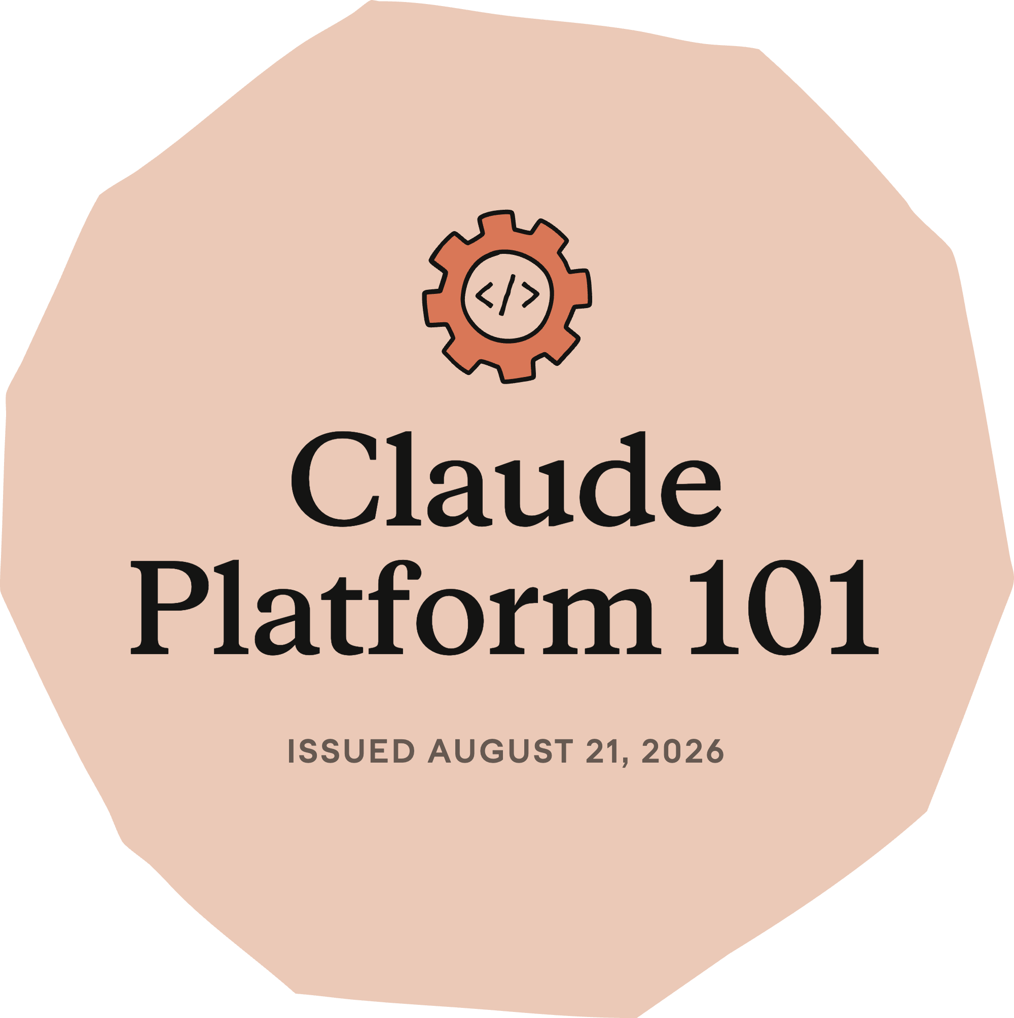 Claude Platform 101